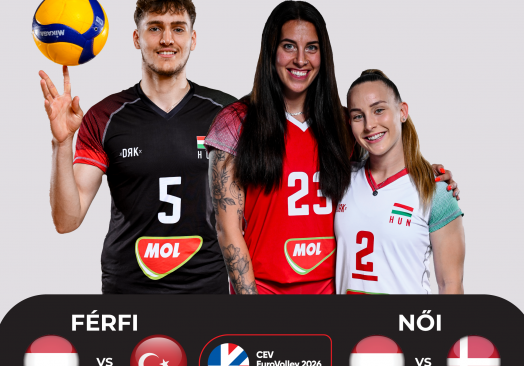 Röplabda Eb-selejtező – Magyarország – Dánia (nők)